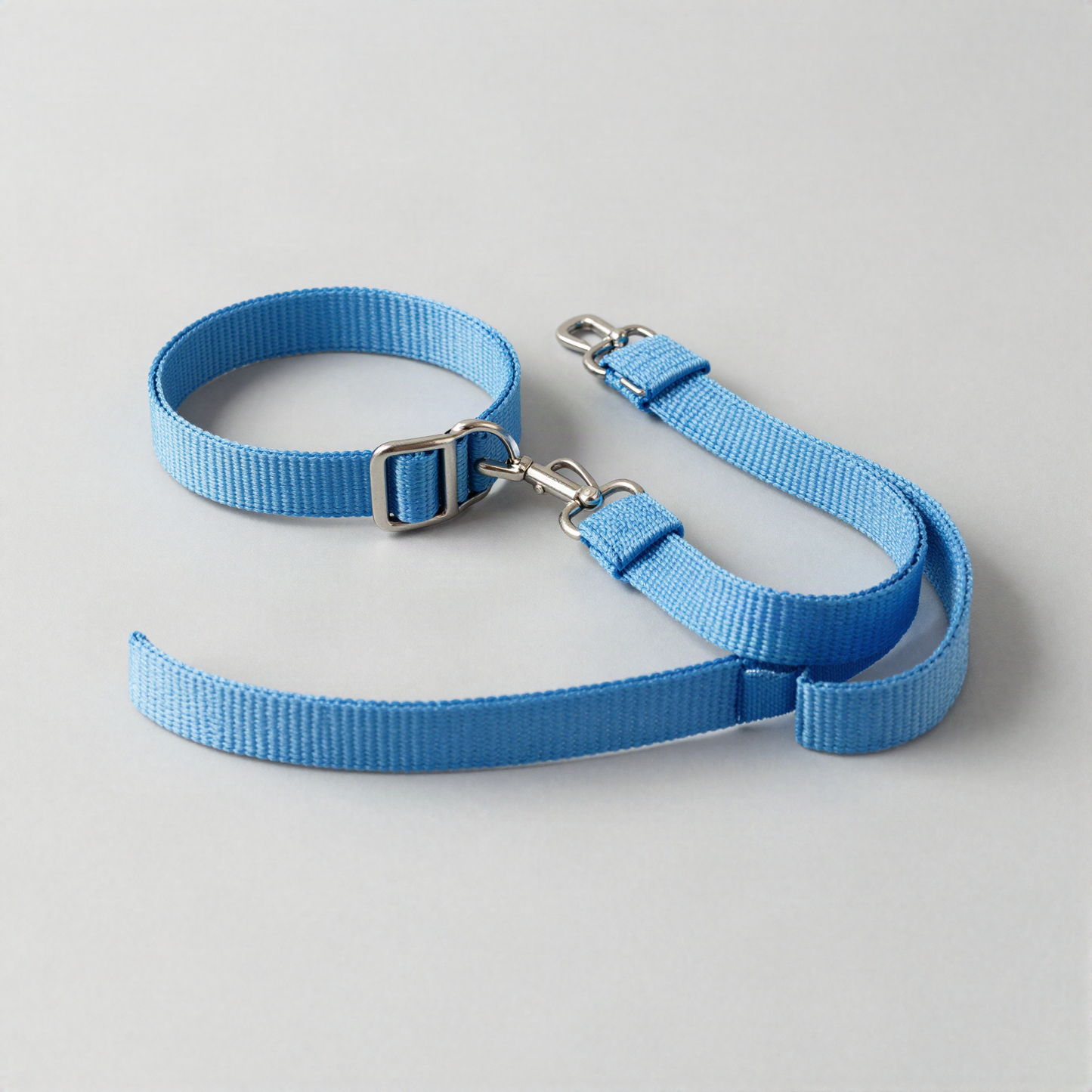 Puppy Collar and Leash Set