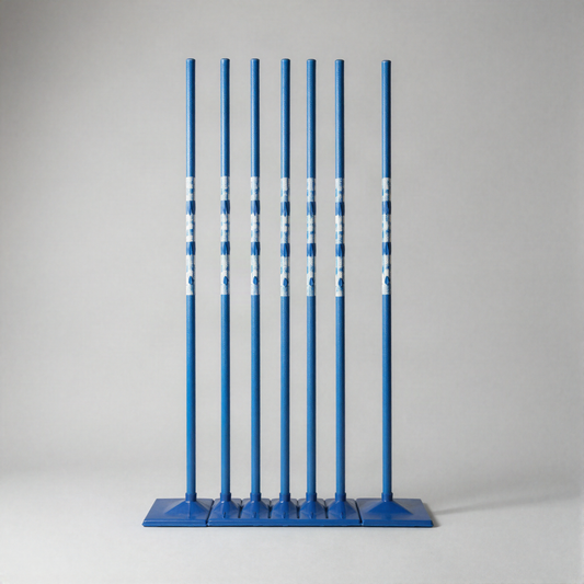 Weave Pole Training Kit