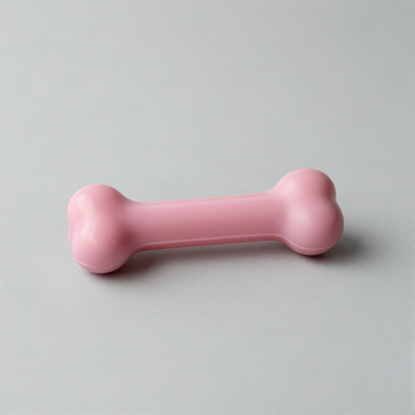 Mini Squeaky Latex Bone